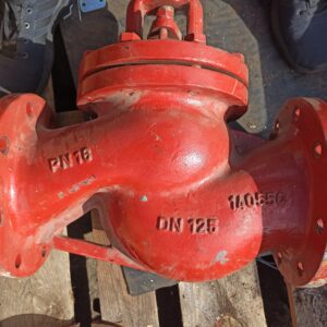 Dikkan Poppet valve DN125 PN16