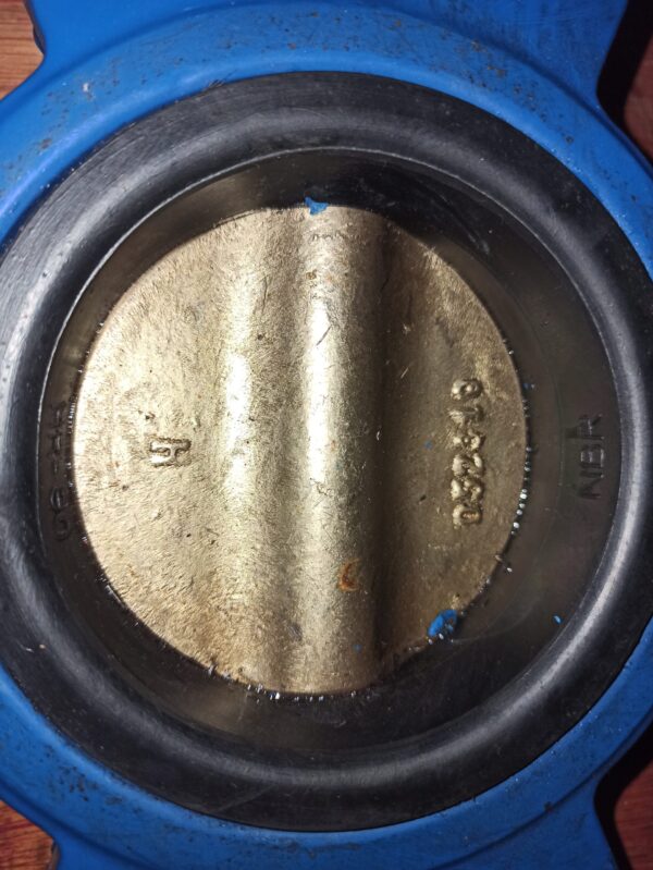Perlwitz Butterfly Valve DN80 With Threaded Holes 3