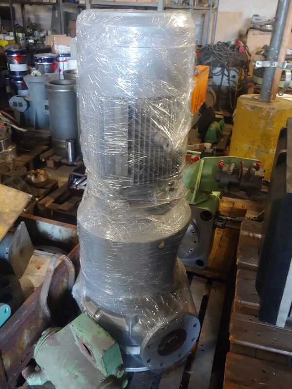 IRON Pump DHBS 125-125/315